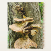 Woodland Gnome in het Mushroom Tree House Planner (Achterkant)
