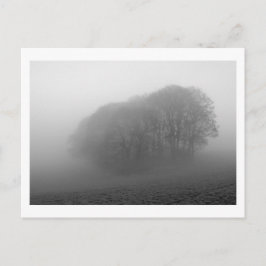 Woodland in the Mist: Cheshire, Engeland Briefkaart