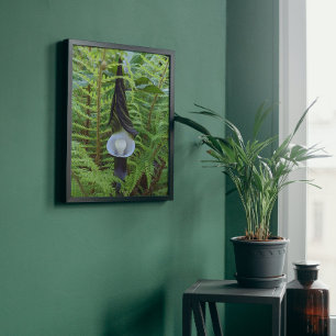 Woodland Jack-in-the-Pulpit Floral Perfect Poster