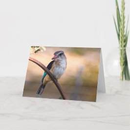 Woodland kingfisher, Botswana Feestdagen Kaart