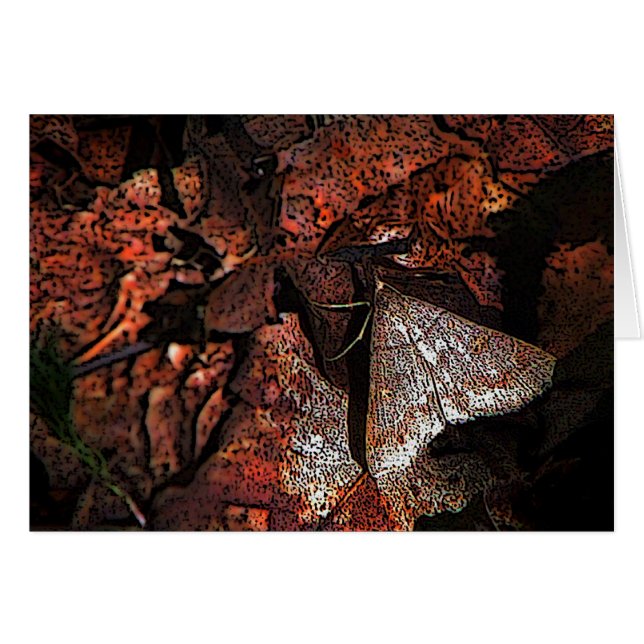 Woodland Moth (Voorkant Horizontaal)