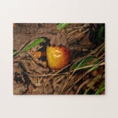 Woodland Mushroom Legpuzzel (Horizontaal)