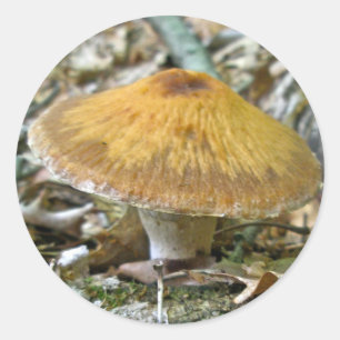 Woodland Mushrooms Coördinerende items Ronde Sticker