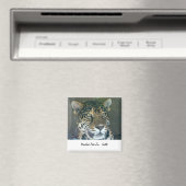 Woodland Park Zoo Kattenmagneet Magneet (Insitu (Vaatwasser))