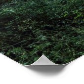 Woodland Path. Blackweir Bossen, Cardiff, Wales. Poster (Hoek)