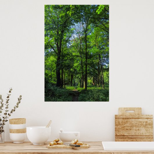 Woodland Path. Blackweir Bossen, Cardiff, Wales. Poster (Keuken)