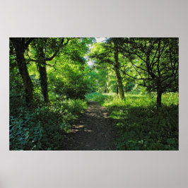 Woodland Path. Blackweir Bossen, Cardiff, Wales. Poster
