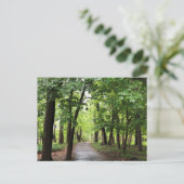 Woodland Path Briefkaart (Staand voorkant)