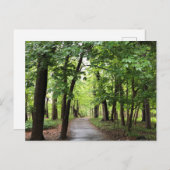 Woodland Path Briefkaart (Voorkant / Achterkant)