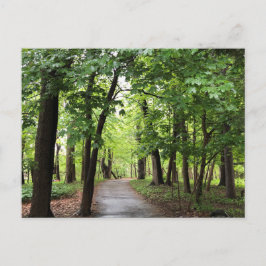 Woodland Path Briefkaart