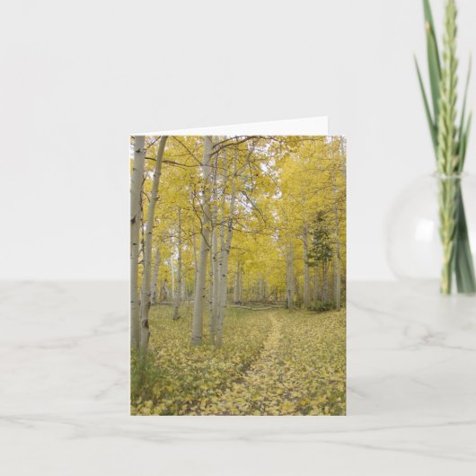 Woodland Path Christian Toutes les occasions Carte (Devant)