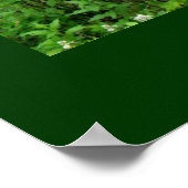 Woodland Path Denk Groen Poster (Hoek)