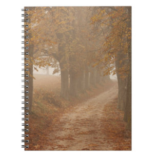 Woodland Path gelinkt door Autumn Trees Foto Notitieboek
