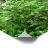 Woodland Path Poster (Hoek)