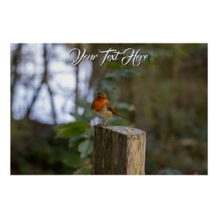 Woodland Robin Glossy Poster Perfect Poster