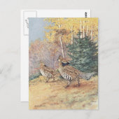 Woodland Ruffed Grouse Briefkaart (Voorkant / Achterkant)