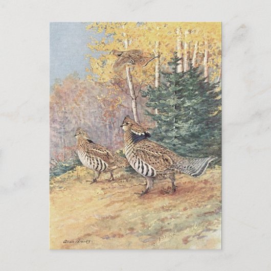 Woodland Ruffed Grouse Briefkaart (Voorkant)