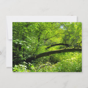 Woodland Scene Kaart