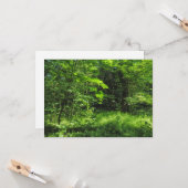 Woodland Scene Kaart (Voorkant / Achterkant in situ)