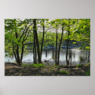 Woodland Scene. Zwarte Bossen, Cardiff Poster