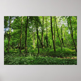 Woodland Scene. Zwarte Bossen, Cardiff Poster
