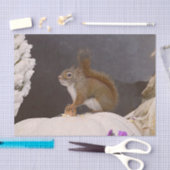 Woodland Squirrel op pompoen Tissuepapier (Craft)