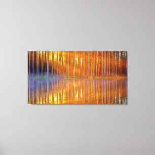 Woodland Sunset Golden Reflection Geometrisch Canvas Afdruk