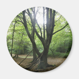 Woodland Sunshine Magnet Magneet