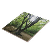Woodland Sunshine Tile Tegeltje (Zijkant)