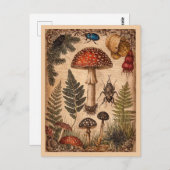 Woodland Toadstool Ferns Beetles Briefkaart (Voorkant / Achterkant)