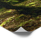 Woodland Walk Poster (Hoek)