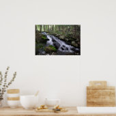 Woodland Waterfall Poster (Keuken)