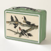 Woodpecker Audubon's Birds of America (Achterkant)