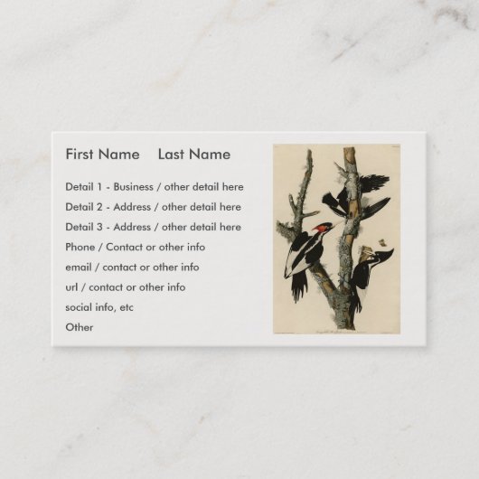 Woodpecker Audubon's Birds of America Visitekaartje (Voorkant)