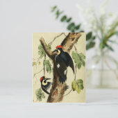  Woodpecker Bird Briefkaart (Staand voorkant)