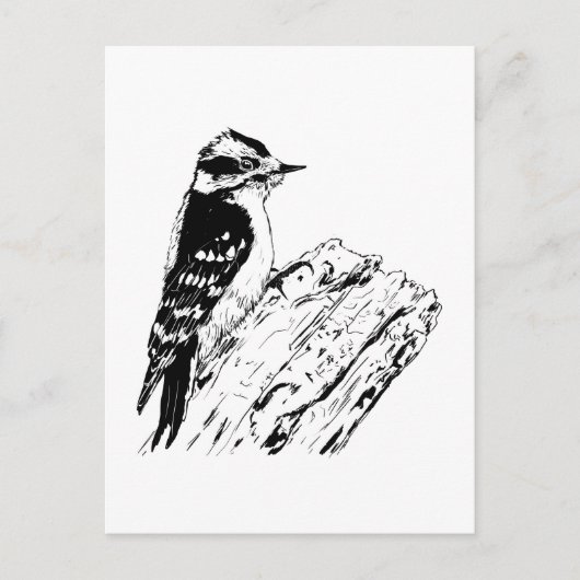 Woodpecker Briefkaart (Voorkant)