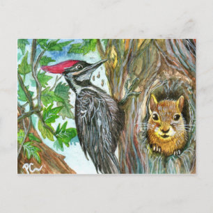 Woodpecker en Squirrel Briefkaart