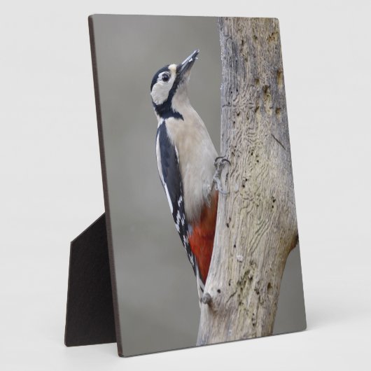 Woodpecker Fotoplaat (Zijkant)