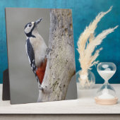 Woodpecker Fotoplaat (Zijkant)