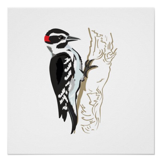Woodpecker-illustratie Perfect Poster (Voorkant)