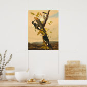 Woodpecker - Joseph B. Kidd Fine Art Poster (Keuken)