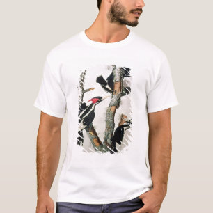 Woodpecker met ivoren buik uit 'Amerikaanse vogels T-shirt