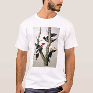 Woodpecker met ivoren buik uit 'Amerikaanse vogels T-shirt