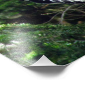 Woodpecker Photo Print Foto Afdruk (Hoek)