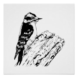 Woodpecker picture/ print / black and white perfect poster