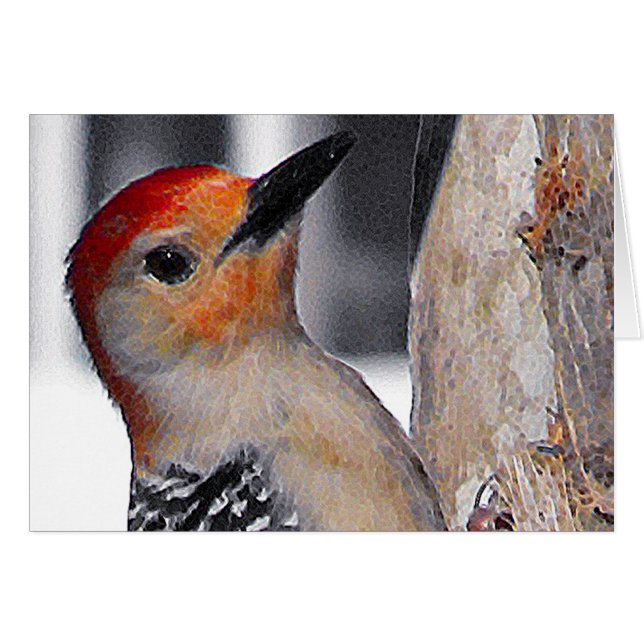 Woodpecker Portrait (Voorkant Horizontaal)