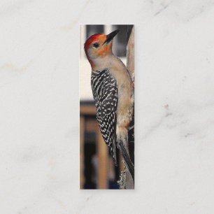 Woodpecker Portrait Mini Visitekaartje