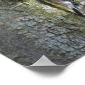 Woodpecker Poster (Hoek)