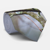 Woodpecker Stropdas (Opgerold)