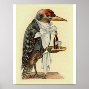 Woodpecker Waiter  Bird Illustration Poster